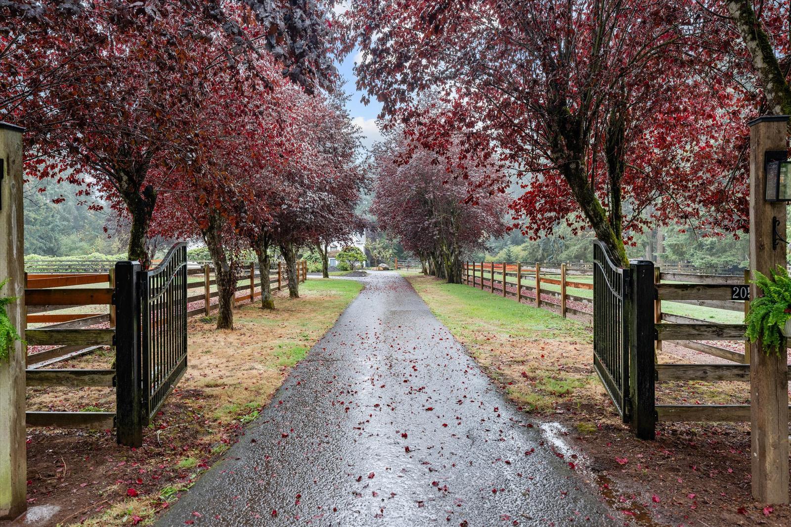 Gated, tree-lined private drive