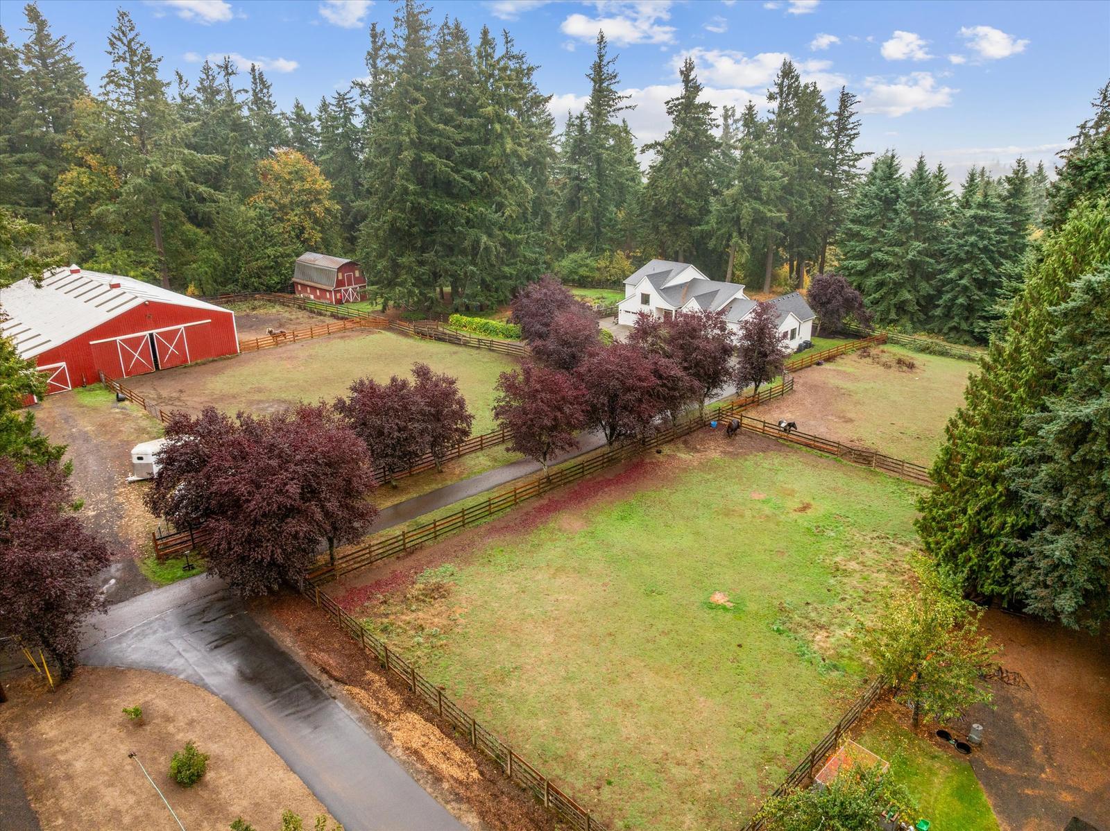 Aerial view of the paddocks, red barns and the house